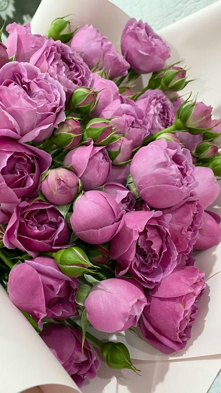 MossLoomPrism workshop space where corporate flower arrangements are designed and prepared for business delivery